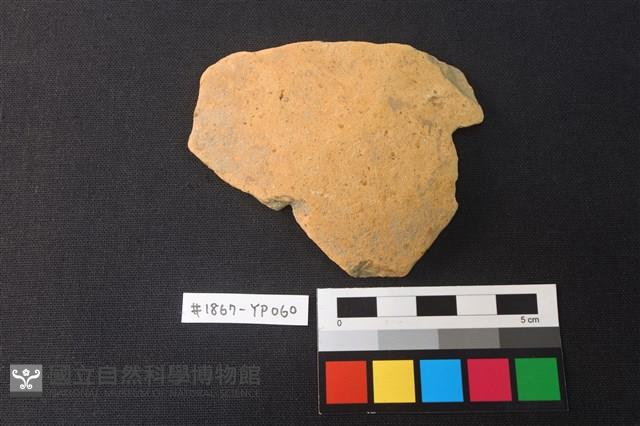 陶片藏品圖，第1張