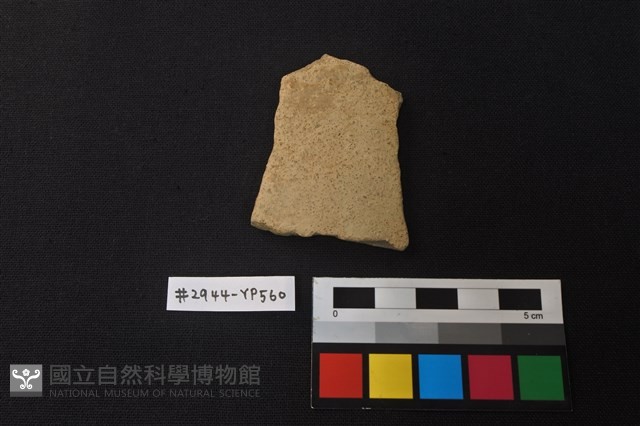陶片藏品圖，第1張