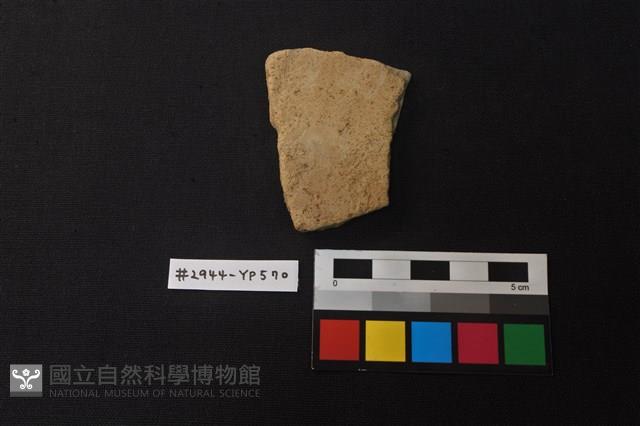 陶片藏品圖，第1張