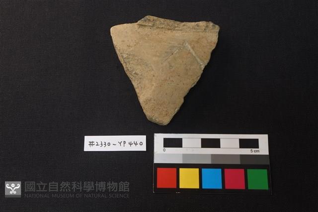 陶片藏品圖，第1張