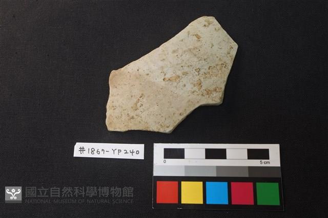 陶片藏品圖，第1張