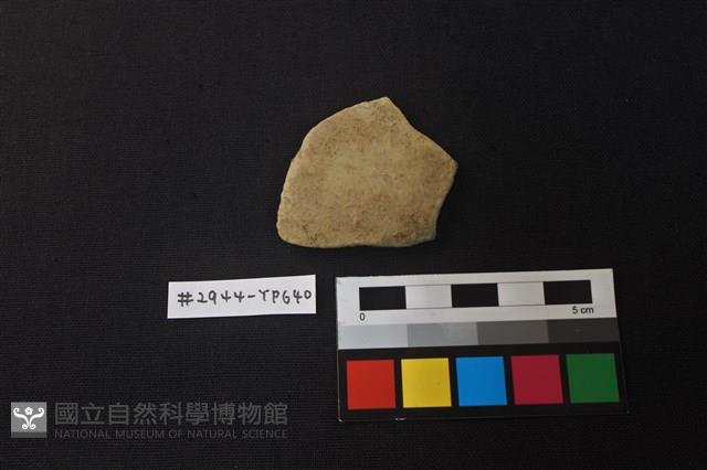 陶片藏品圖，第1張