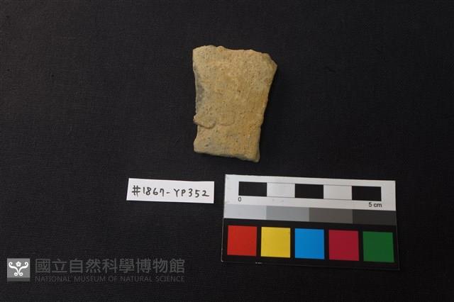 陶片藏品圖，第1張