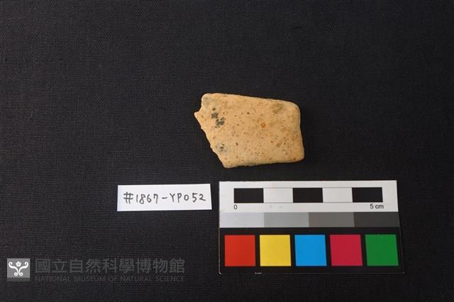 陶片藏品圖，第1張