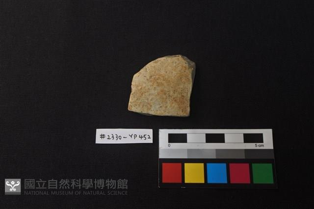 陶片藏品圖，第1張