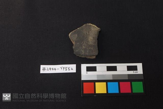 陶片藏品圖，第1張