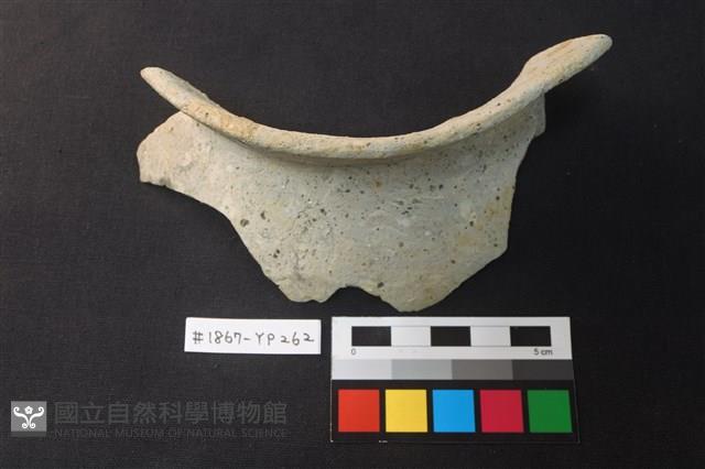 陶片藏品圖，第1張