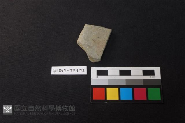 陶片藏品圖，第1張