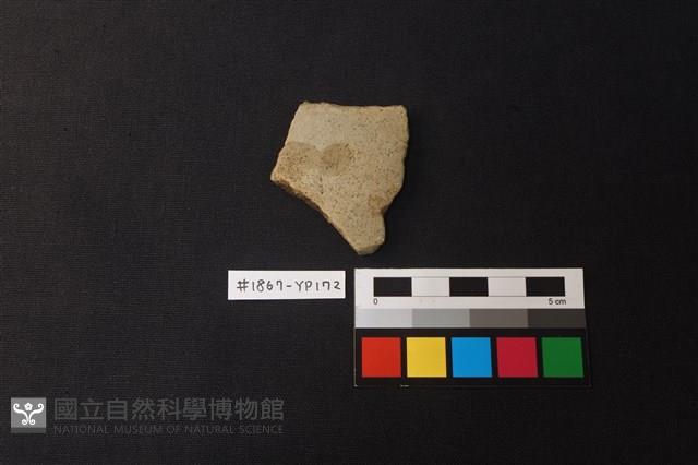 陶片藏品圖，第1張
