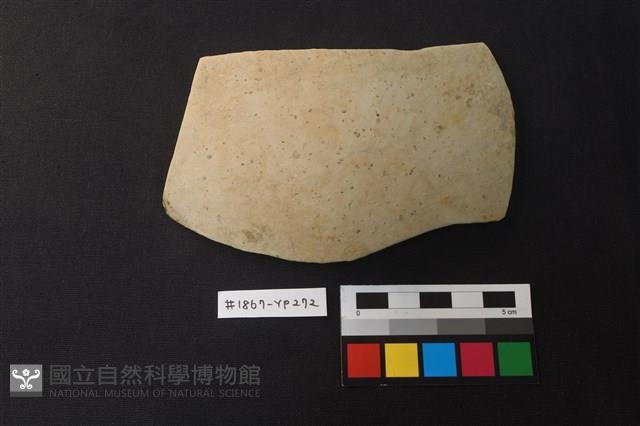 陶片藏品圖，第1張