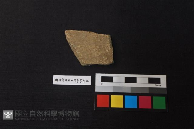 陶片藏品圖，第1張