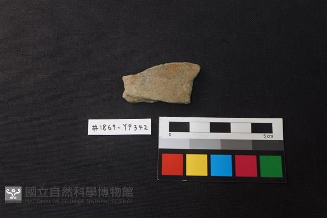 陶片藏品圖，第1張