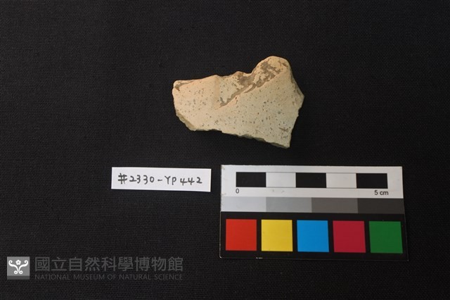 陶片藏品圖，第1張