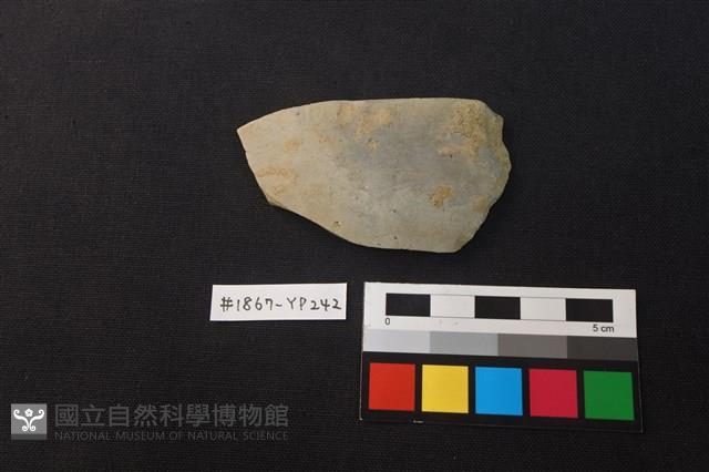 陶片藏品圖，第1張
