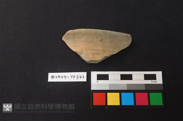 陶片藏品圖，第1張