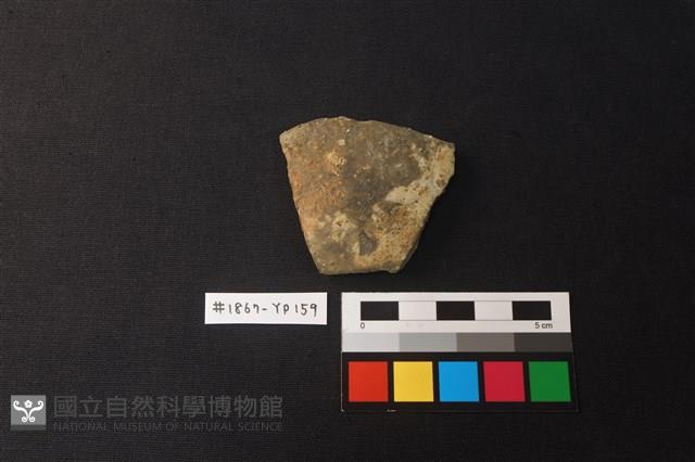 陶片藏品圖，第1張