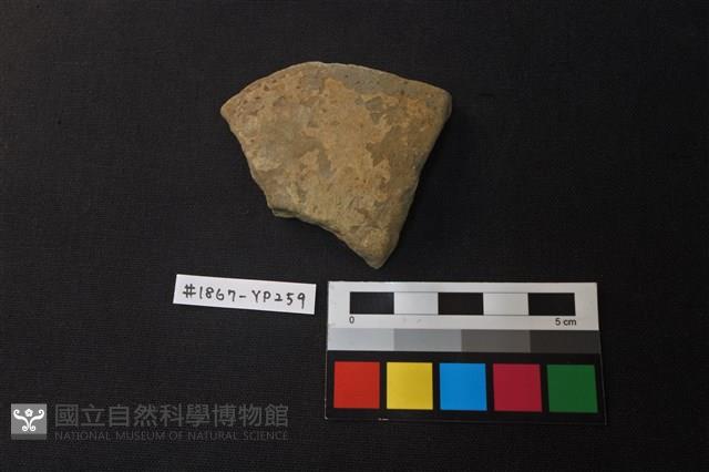 陶片藏品圖，第1張