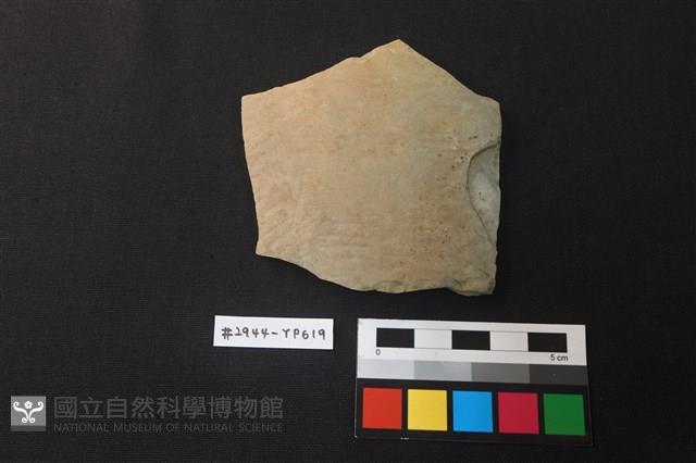 陶片藏品圖，第1張