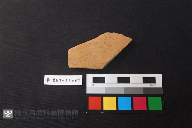 陶片藏品圖，第1張
