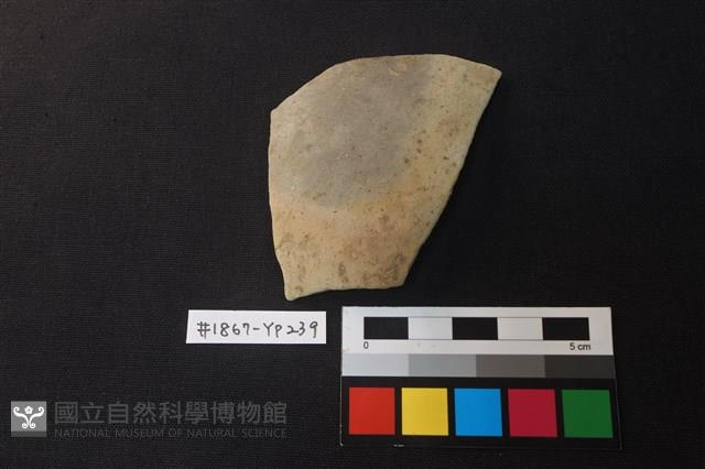 陶片藏品圖，第1張