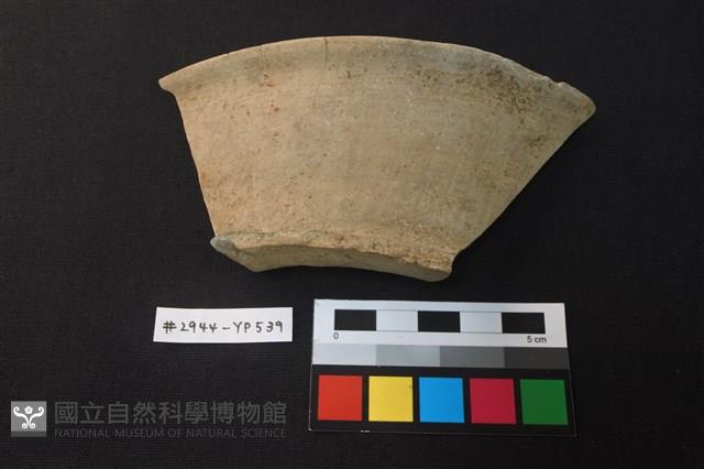 陶片藏品圖，第1張