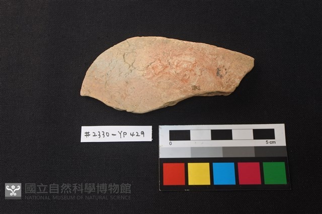 陶片藏品圖，第1張