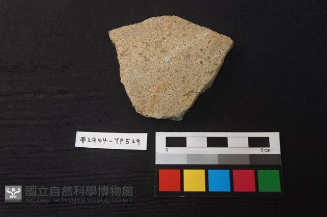 陶片藏品圖，第1張