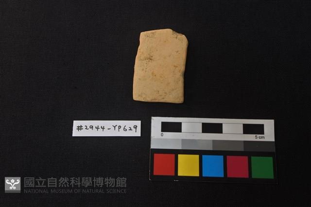 陶片藏品圖，第1張