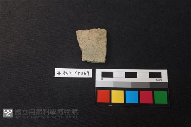 陶片藏品圖，第1張