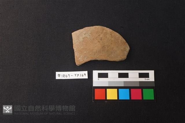 陶片藏品圖，第1張