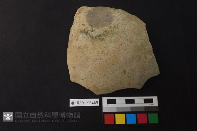 陶片藏品圖，第1張