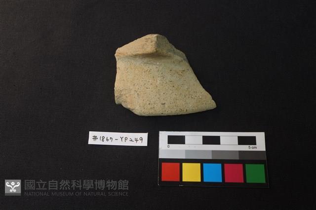 陶片藏品圖，第1張