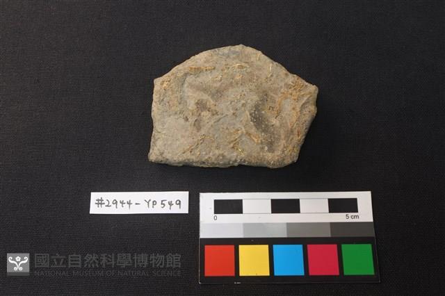 陶片藏品圖，第1張