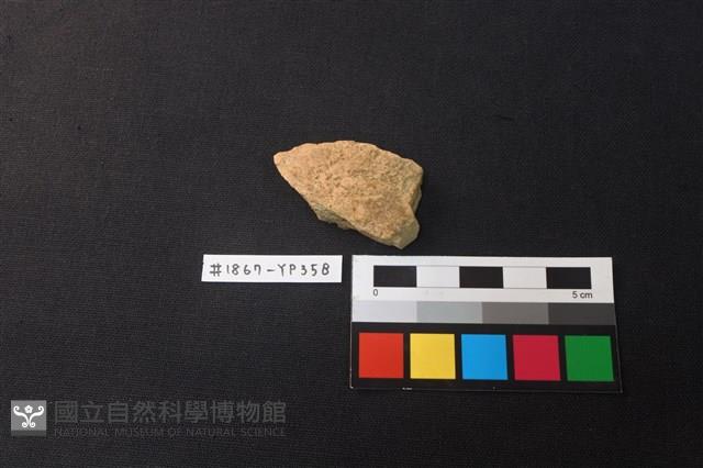 陶片藏品圖，第1張