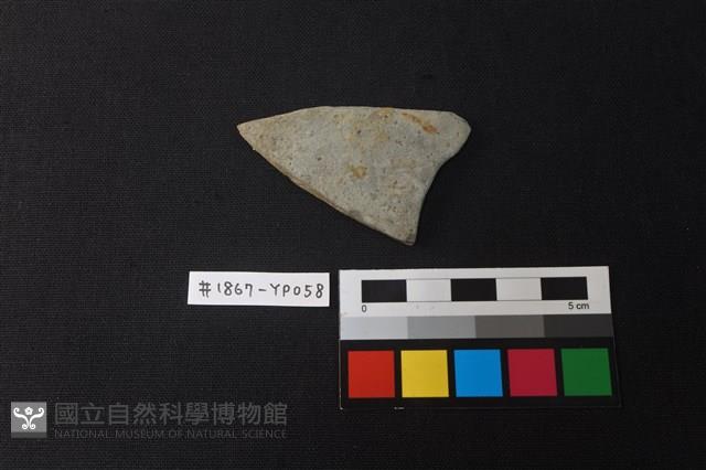 陶片藏品圖，第1張