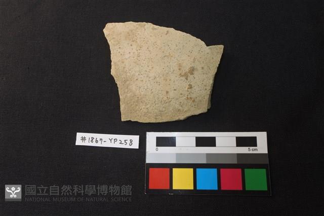 陶片藏品圖，第1張