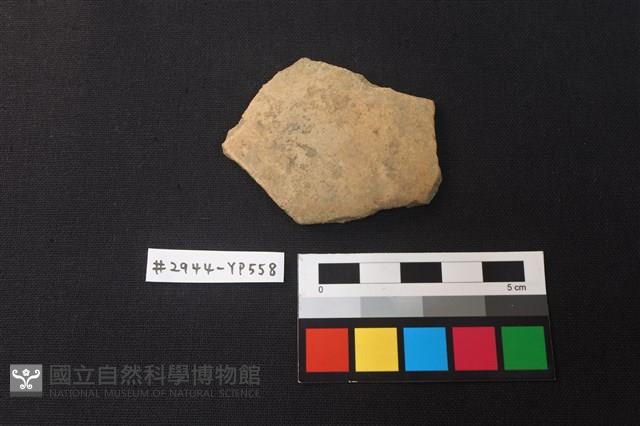 陶片藏品圖，第1張