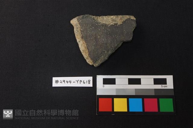 陶片藏品圖，第1張