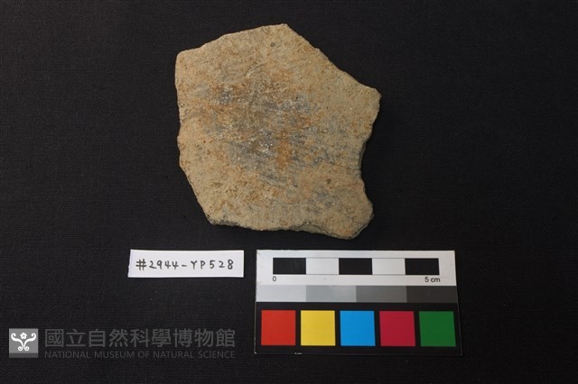 陶片藏品圖，第1張