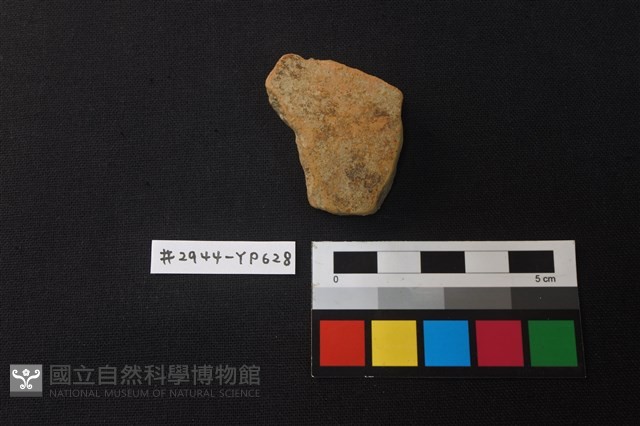 陶片藏品圖，第1張