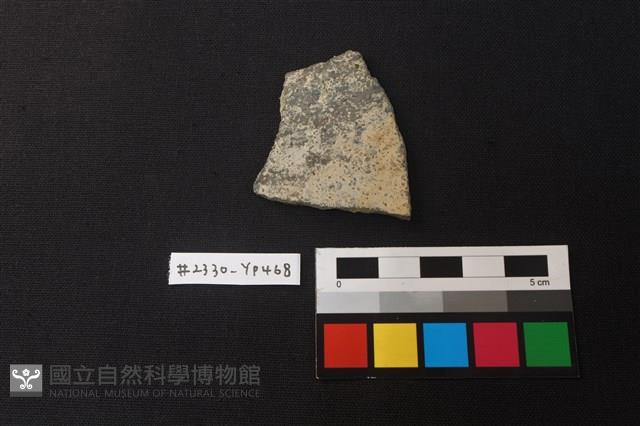 陶片藏品圖，第1張