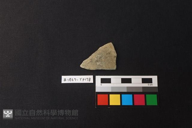 陶片藏品圖，第1張