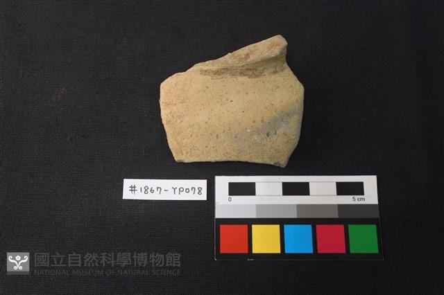 陶片藏品圖，第1張