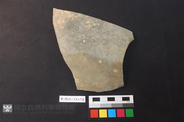 陶片藏品圖，第1張