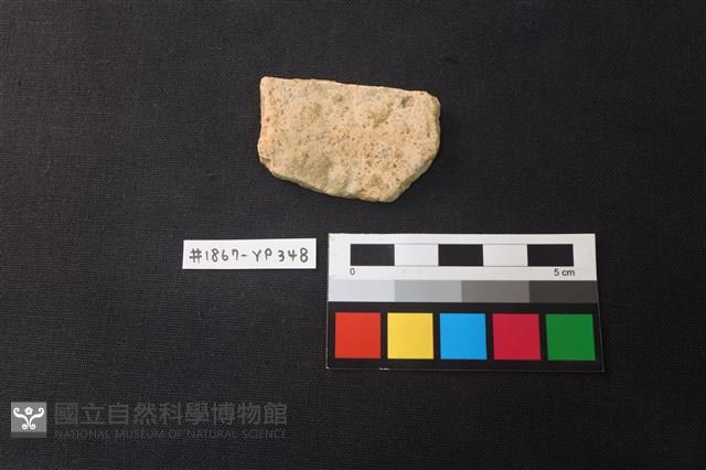 陶片藏品圖，第1張