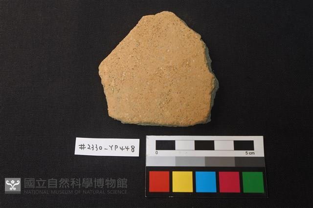 陶片藏品圖，第1張