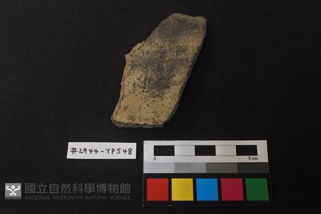 陶片藏品圖，第1張