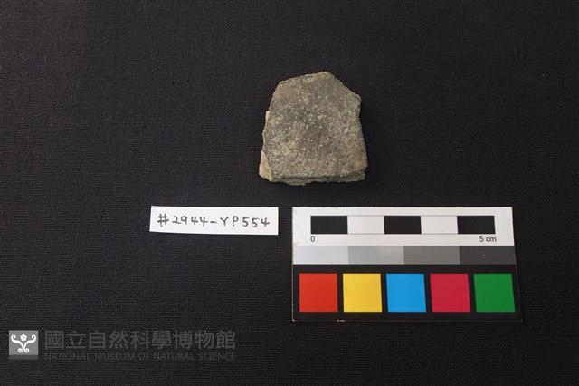 陶片藏品圖，第1張