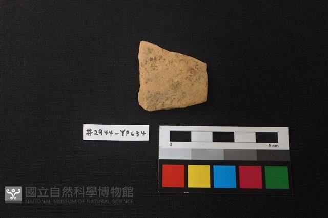 陶片藏品圖，第1張