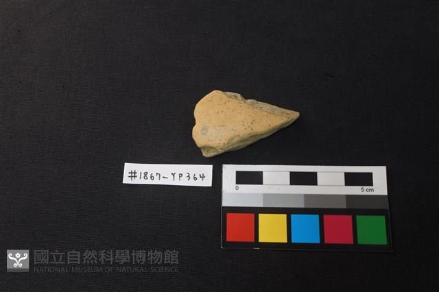 陶片藏品圖，第1張